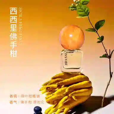 INSVIBE Q EDP 10ML*2