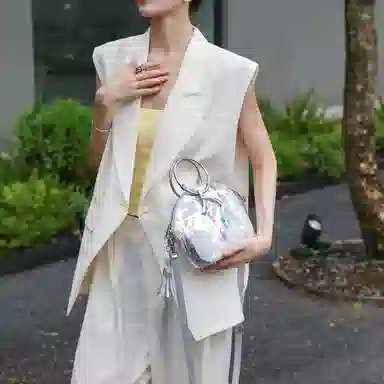 Roberta Di Camerino Shell Bag Gold Gray Silver