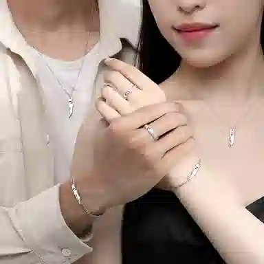 ins S925