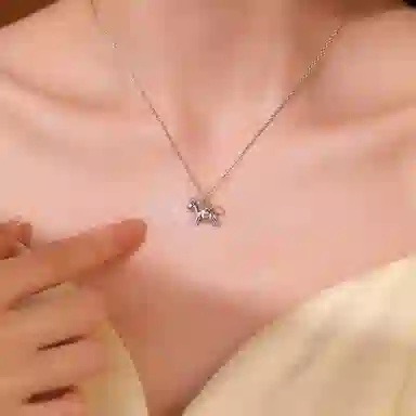 ins s925