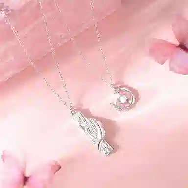 ins S925