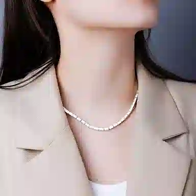 ins S925