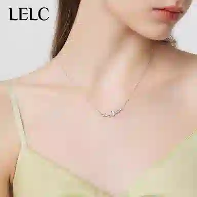 S999 LELC 2025