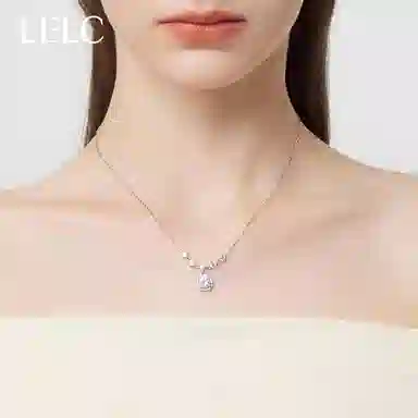 S999 LELC
