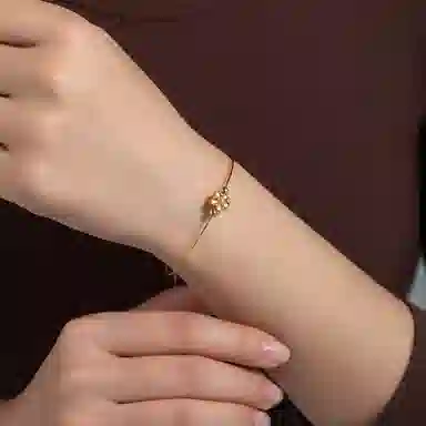 PIARA