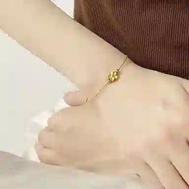 PIARA