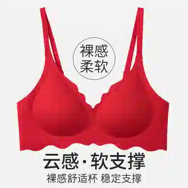舒雅 大胸显小大码贴合提拉防下垂文胸 女款