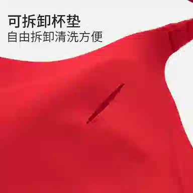 舒雅 大胸显小大码贴合提拉防下垂文胸 女款