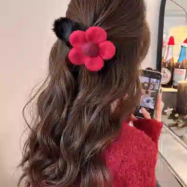 PIARA