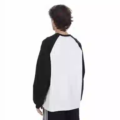 OSIRIS T