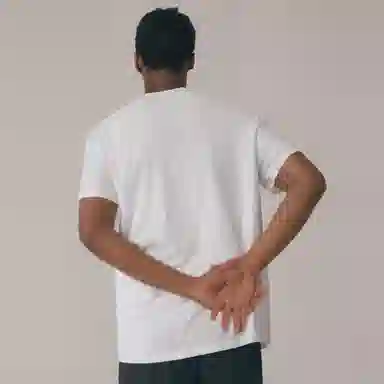 OSIRIS T