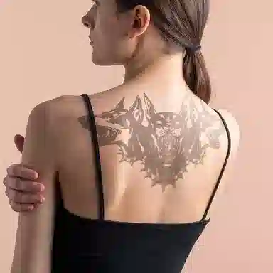 ins 280*150mm