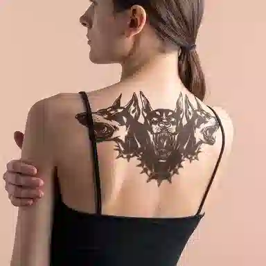 ins 280*150mm