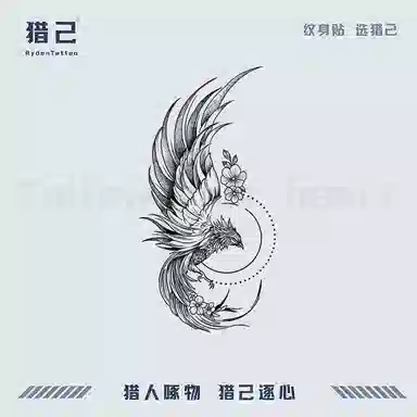 ins 12*19cm