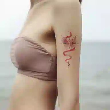 ins120*75mm