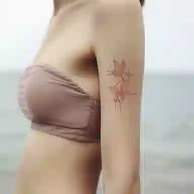ins120*75mm