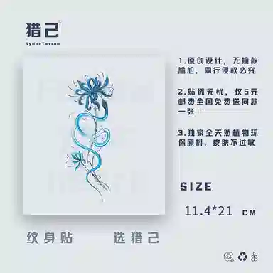 ins 11.4x21