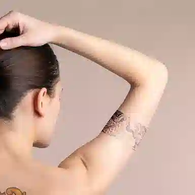 饰田  鹤舞草本防水纹身贴 永久超酷臂环