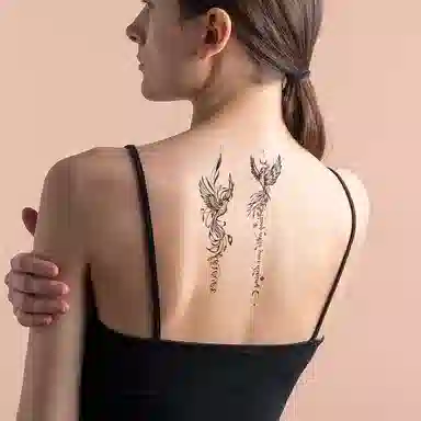 ins 90*160mm