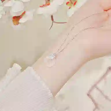 LISM ins S925