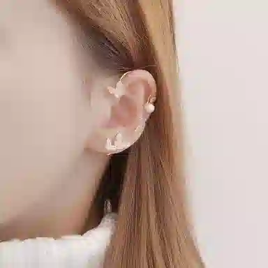LISM ins S925