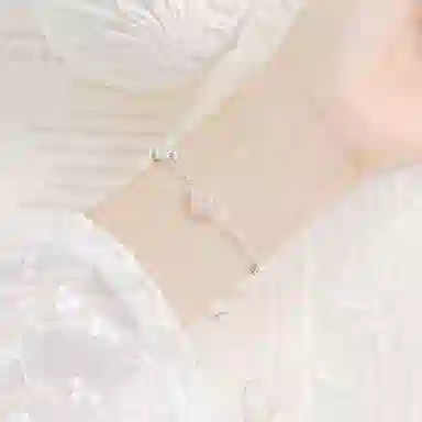 LISM ins S925