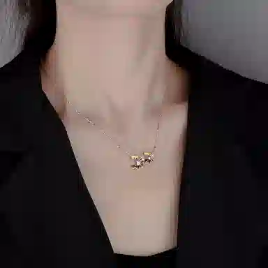 LISM ins 999