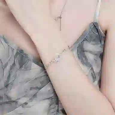 LISM ins