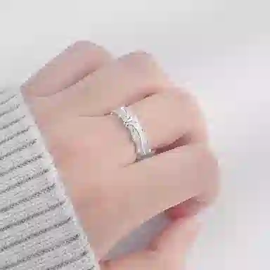 LISM ins S925