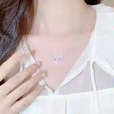 LISM ins S925
