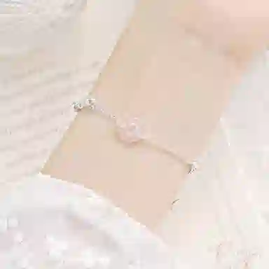 LISM ins S925