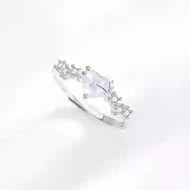 LISM ins S925
