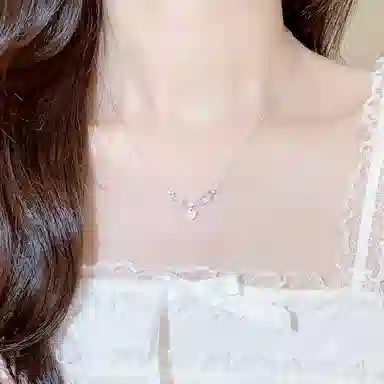 LISM ins S925
