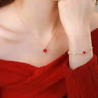 LISM ins S925