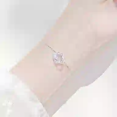 LISM ins S925