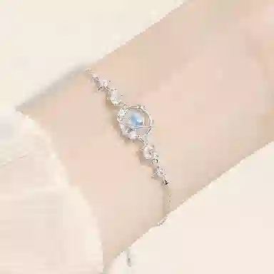 LISM ins S925