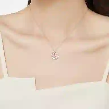 LISM ins S925