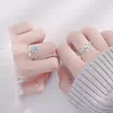 LISM ins S925
