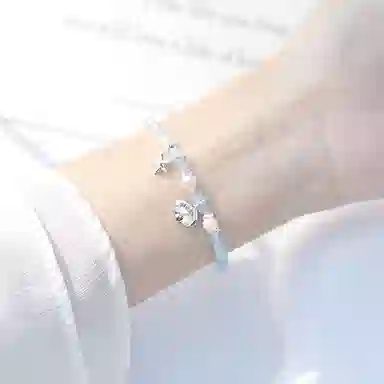 LISM ins S925