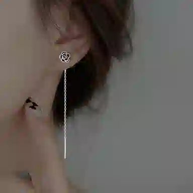 LISM ins 999