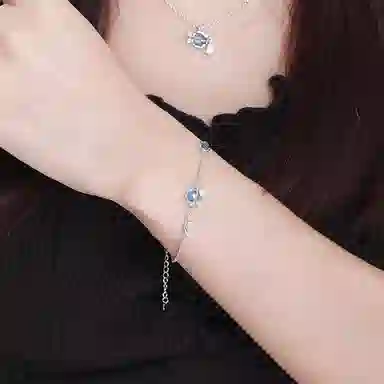 LISM ins