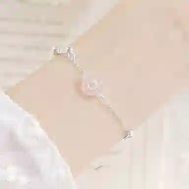 LISM ins S925