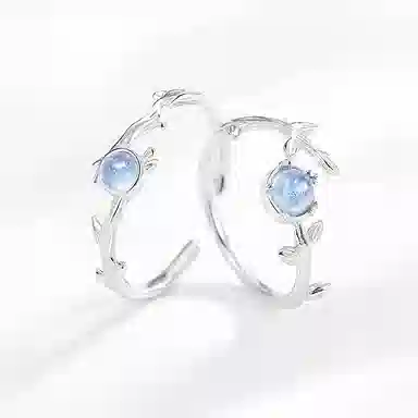 LISM ins S925