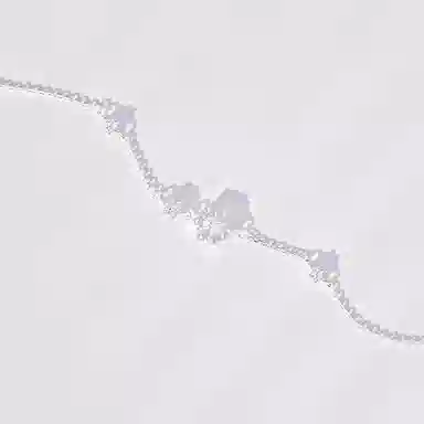 LISM ins S925