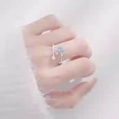LISM ins S925