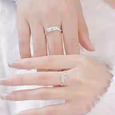 LISM ins S925