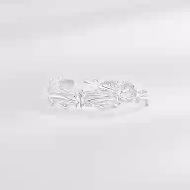 LISM ins S925