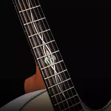 ENYA Q1 Pro 41