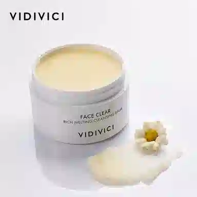 VidiVici