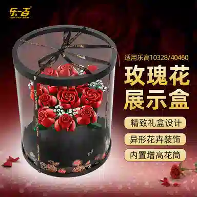 LIGHT YOUR BRICKS 10328102804046010313